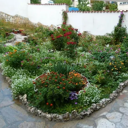 Family St. Constantine And Helena فندق